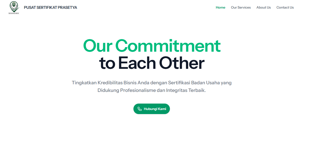 Our Website